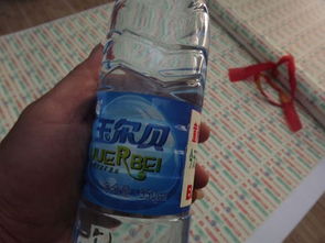 玉尔贝销售与文山市宏泰副食批发部的多元化经营